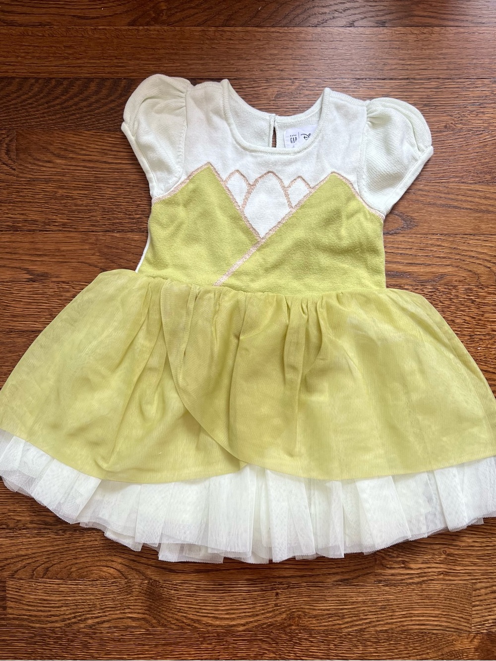 Disney Princess Tiana Tulle Dress